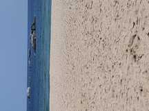 recommendation test thumbnail